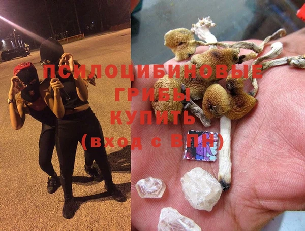 винт Балахна