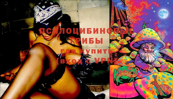 винт Балахна