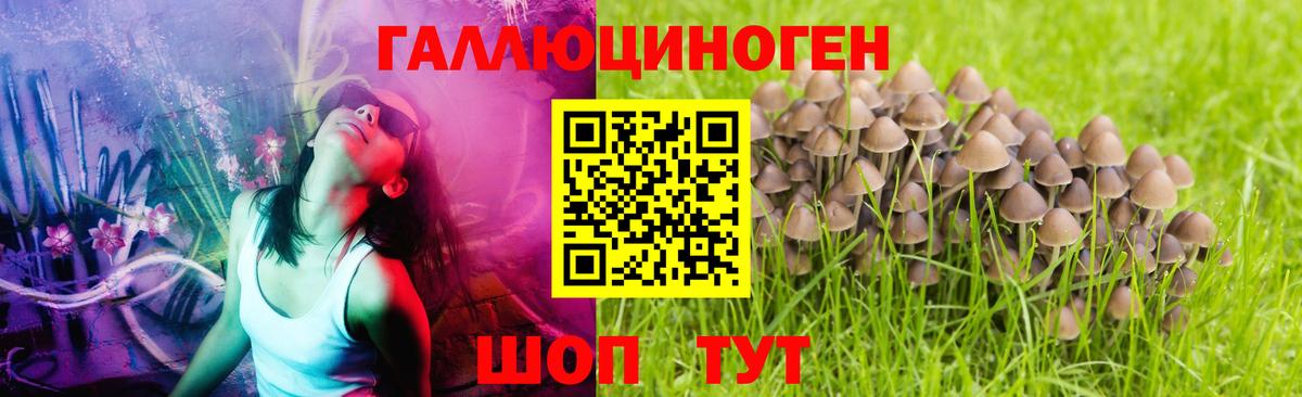 Галлюциногенные грибы GOLDEN TEACHER  Вход с VPN  Вятские Поляны 