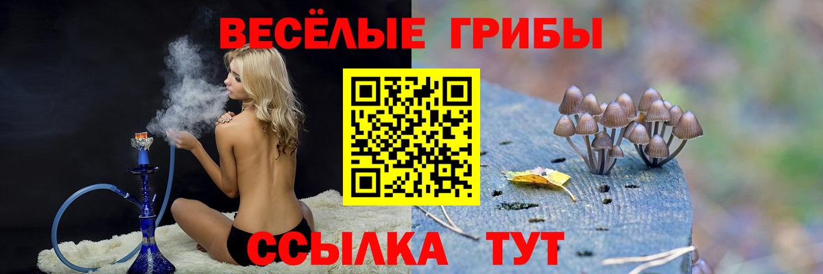 где продают   Вятские Поляны  Галлюциногенные грибы Cubensis 