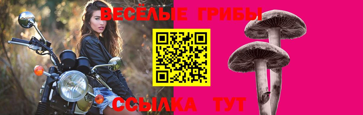 Псилоцибиновые грибы мухоморы Вятские Поляны